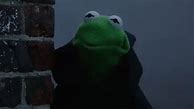 Image result for Kermit the Frog Screaming Meme