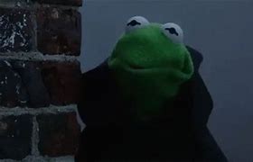 Image result for Mad Kermit