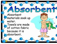 Image result for absorbencis