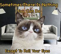 Image result for Grumpy Cat Eye Roll Meme