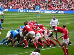 Image result for Sean Kelly Rugby