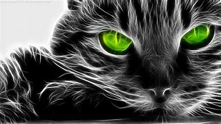 Image result for Wallpaper Cat Green Eyes