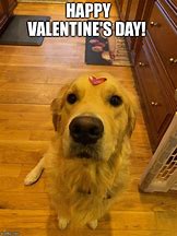 Image result for Happy Valentine's Day Meme