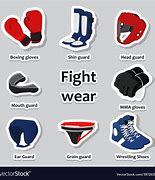 Image result for Mixed Martial Art Equipment