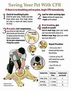 Image result for Recover CPR Flow Chart