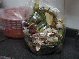 Image result for Fruit Peel and Plastic Bag