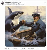 Image result for Rescue Whale Meme