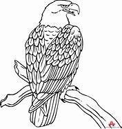 Image result for Black and White Line Drawing Eagle