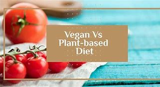 Image result for Plant-Based Vs. Vegan