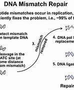 Image result for Fix My DNA Please