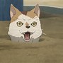 Image result for Sad Anime Cat Meme