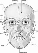 Image result for Sharp Chin Face