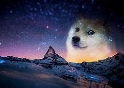 Image result for Baby Doge with Hat Meme