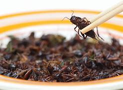 Image result for A Cricket Meal Main Course Idea