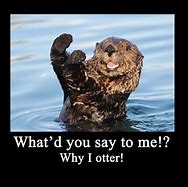 Image result for Otter Jokes