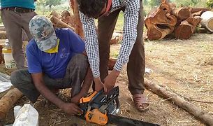 Image result for Wood Cutter Effectively