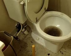 Image result for Toilet Back Up