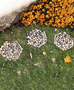Image result for Hexagonal Stepping Stones
