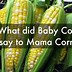 Image result for Funny Corn Puns