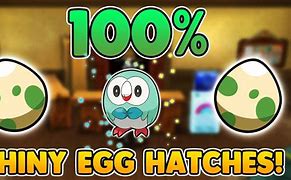 Image result for Shiny Pokemon Eggs