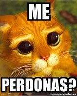 Image result for Me Perdonas Meme