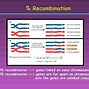 Image result for Recombination and Crossing Over