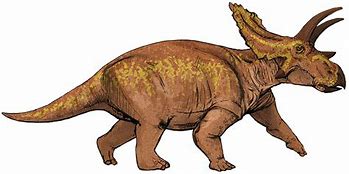 Image result for Dinosaur Similar to Triceratops
