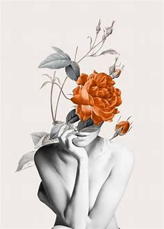 Rose | Art inspiration | Hannah Wills Art | Arte de collage, Ilustraciones, Arte del retrato