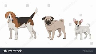 Image result for Small Smaller Smallest Clip Art
