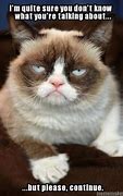 Image result for Grumpy Cat Memes