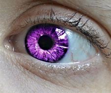 Image result for Foriners Eyes