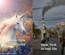 Image result for Fluffy Unicorn Meme