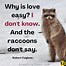 Image result for Funny Raccoon Quotes