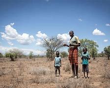 Image result for Kenya Drought Pics
