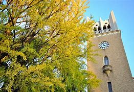 Image result for Arsitek Waseda University