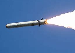 Image result for Russian Cruise Missiles