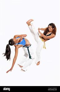 Image result for Brazilian Martial Arts