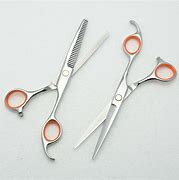 Image result for Scissors Beauty and Hair Salon