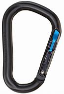 Image result for Plastic Carabiner Locking Sage