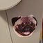 Image result for Meme Stickers Cut Out