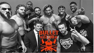 Image result for Bullet Club Wkia