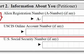 Image result for Where Can I Find My USCIS Online Accont Number