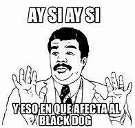 Image result for Black Lab Dog Memes