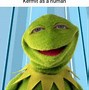 Image result for Kermit Meme Pictures