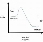 Image result for Equilibrium in a Reaction Coordinate Diagram