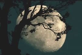 Image result for Galaxy Moon Lamp GIF