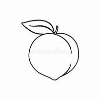 Image result for Peach Fruit White Background