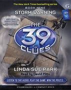 Image result for Storm Warning The 39 Clues