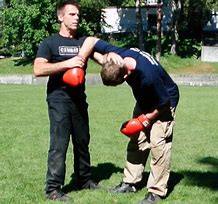 Image result for Systema Stance