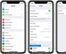 Image result for How to Turn On Data Roaming On Trac Phone iPhone